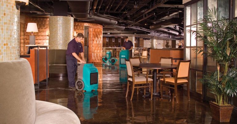 local water damage company Greenville, SC